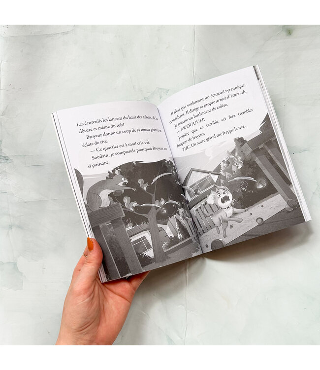 SCHOLASTIC LIVRE - COMPLOT D'ANIMAUX 1 - MON ROYAUME OBSCUR