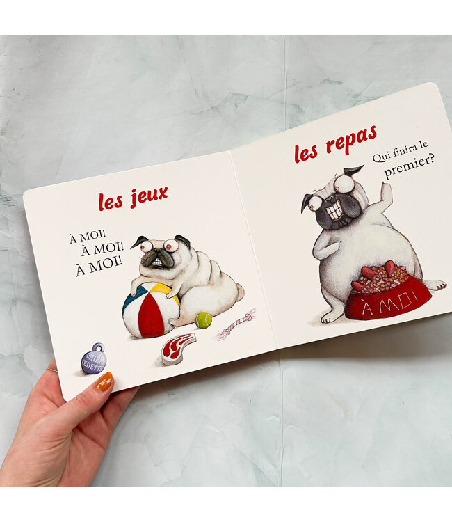 SCHOLASTIC LIVRE - CARLOS LE CARLIN D'AMOUR