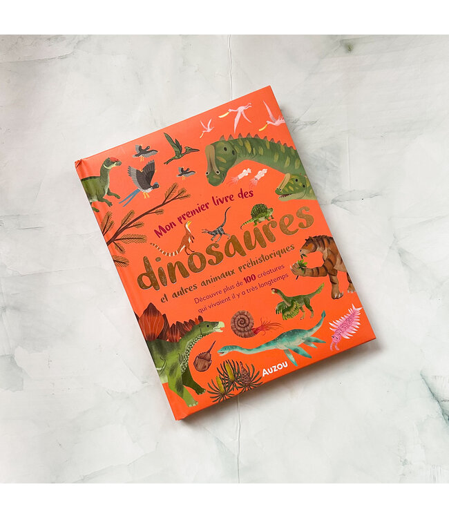 AUZOU LIVRE - MA PREMIÈRE ANTHOLOGIE DES DINOSAURES