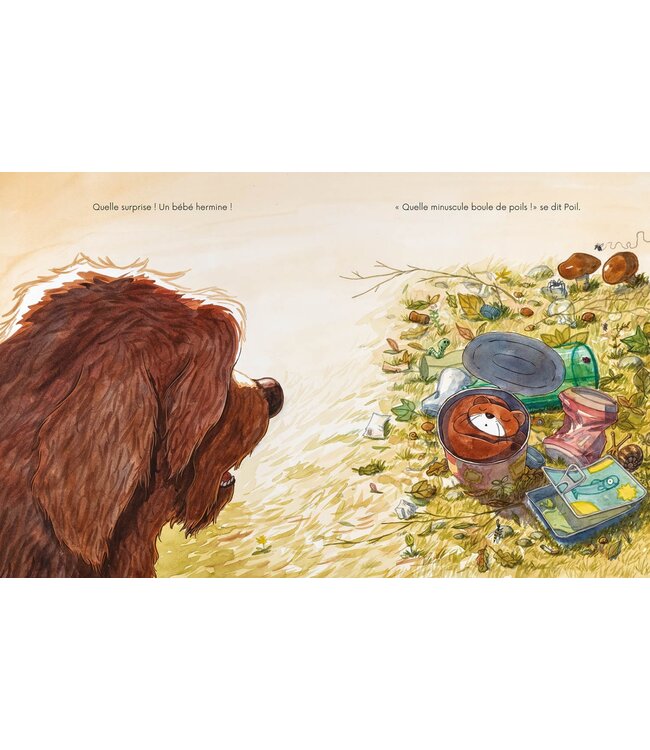 AUZOU LIVRE - POIL ET PLUME