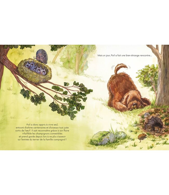 AUZOU LIVRE - POIL ET PLUME