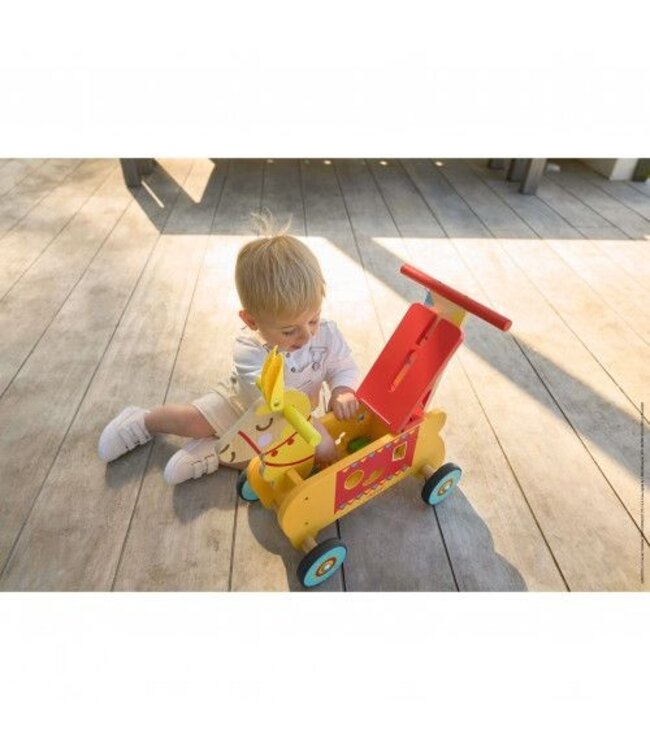 JANOD J'APPRENDS À MARCHER - LAMA