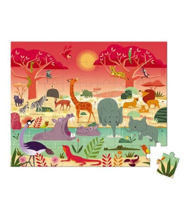 JANOD CASSE-TÊTE (54 MCX) - RÉSERVE ANIMAUX