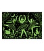 CASSE-TÊTE 100 MCX GLOW IN THE DARK - MOONLIGHT BALLET