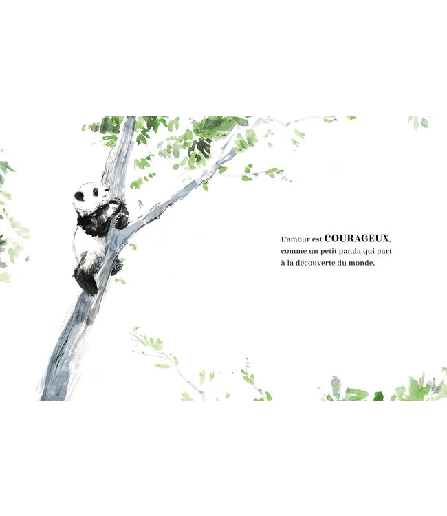 AUZOU LIVRE - L'AMOUR