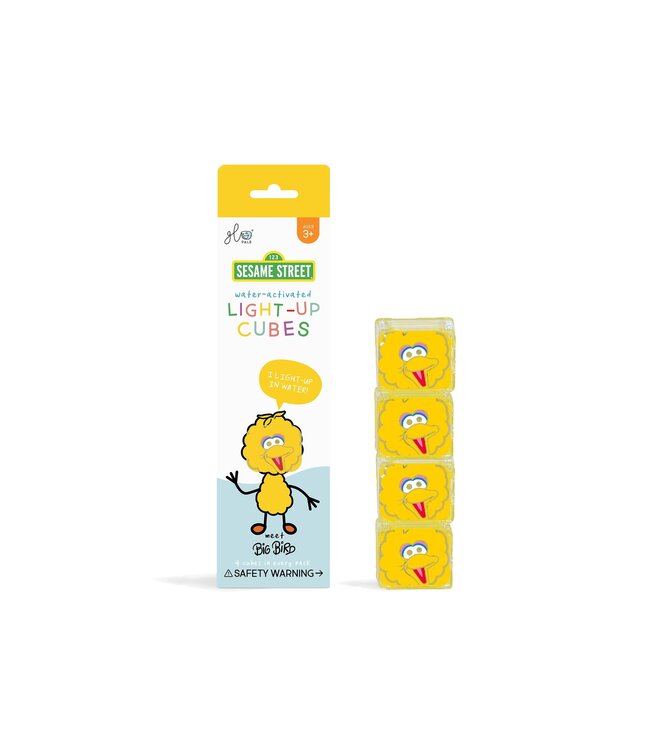 GLO PALS CUBES LUMINEUX - BIG BIRD
