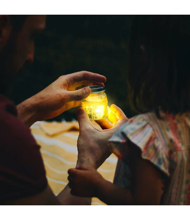 GLO PALS CUBES LUMINEUX - BIG BIRD