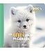AUZOU LIVRE DOC PHOTO - LES BÉBÉS ANIMAUX DU CANADA