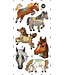 PiCO TATOO TATOUAGE TEMPORAIRE - LES CHEVAUX SAUVAGES