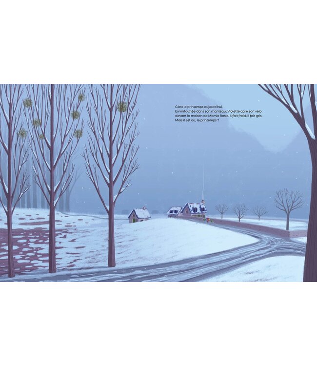 AUZOU LIVRE - ON A VOLÉ LE PRINTEMPS