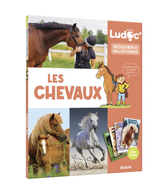 AUZOU LIVRE LUDOC - LES CHEVAUX