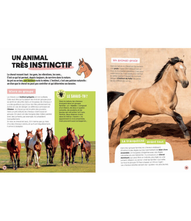 AUZOU LIVRE LUDOC - LES CHEVAUX