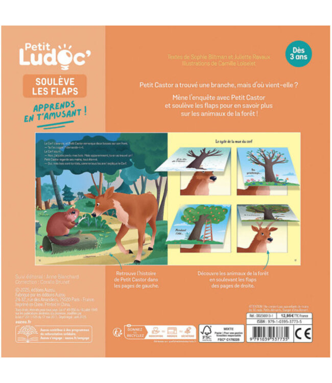 AUZOU LIVRE PETIT LUDOC - LES ANIMAUX DE A FORÊT
