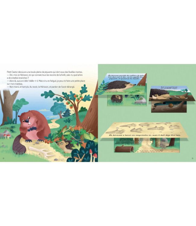 AUZOU LIVRE PETIT LUDOC - LES ANIMAUX DE A FORÊT