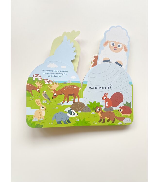 AUZOU LIVRE - À QUI SONT CES DRÔLES DE CRÊTES