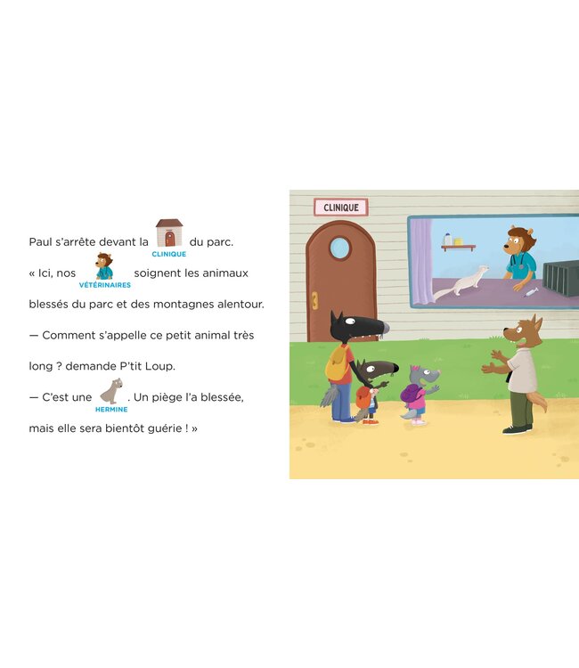 AUZOU LIVRE P'TIT LOUP - AU PARC ANIMALIER