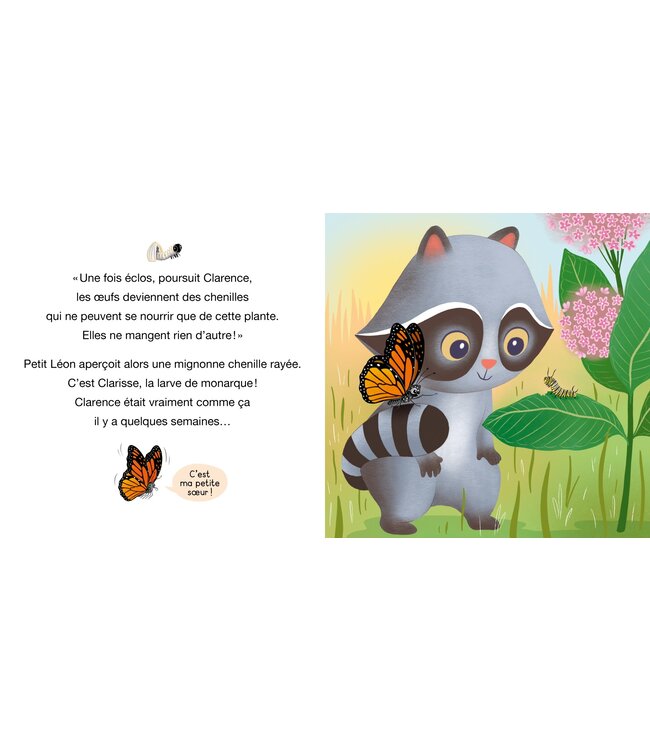 AUZOU LIVRE - PETIT LÉON ET LE PAPILLON MONARQUE