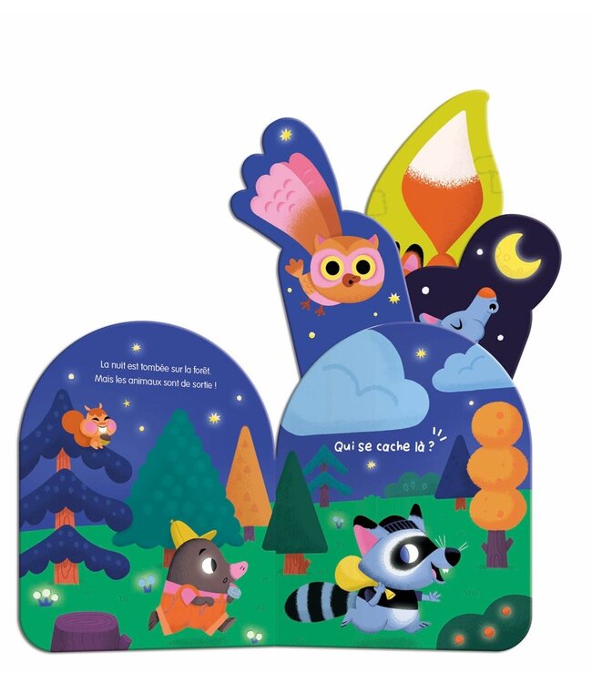 AUZOU LIVRE - MON COUCOU SONORE : QUI SE CACHE DANS LA NUIT?