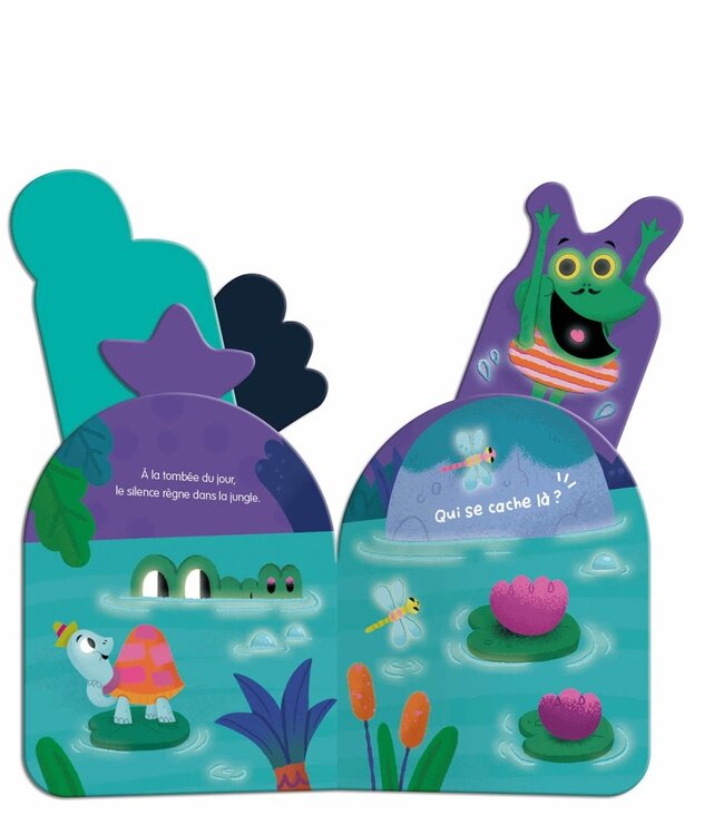 AUZOU LIVRE - MON COUCOU SONORE : QUI SE CACHE DANS LA NUIT?