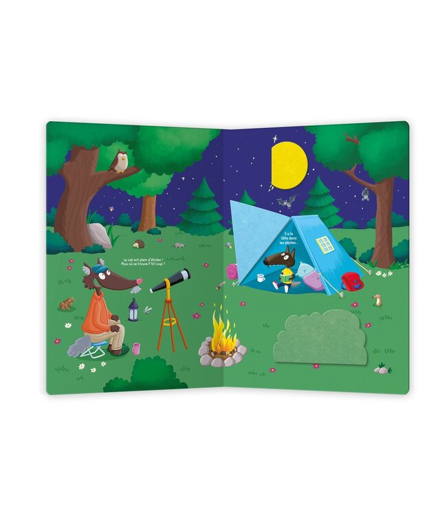 AUZOU LIVRE À FLAPS - CACHE-CACHE P'TIT LOUP