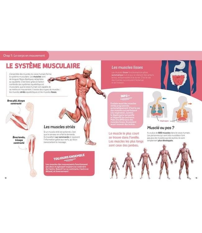 AUZOU LIVRE - LE CORPS HUMAIN