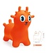 DJECO BALLON SAUTEUR - SUNNY