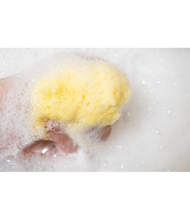 LOOT TOYS SANDY L'ÉPONGE DE MER