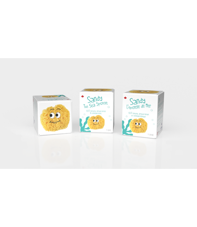 LOOT TOYS SANDY L'ÉPONGE DE MER