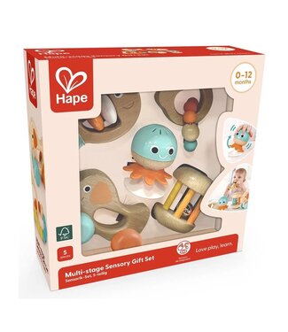 HAPE COFFRET SENSORIELLE - MULTI- ÉTAPES