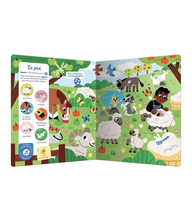 AUZOU Livre - Cherche et trouve des tout-petits sonore - La ferme