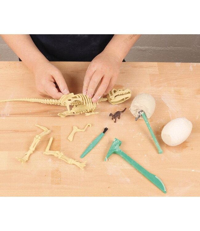 AUZOU Coffret - Je découvre les dinosaures