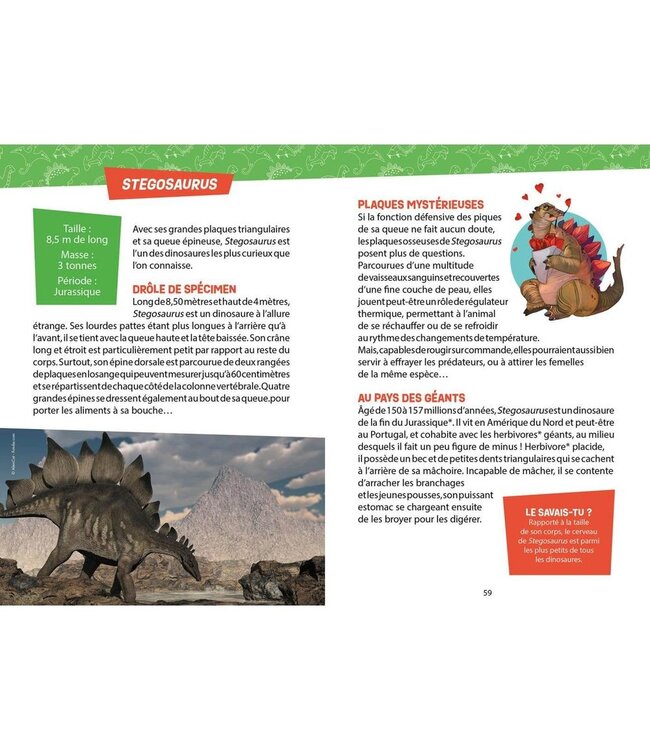AUZOU Coffret - Je découvre les dinosaures