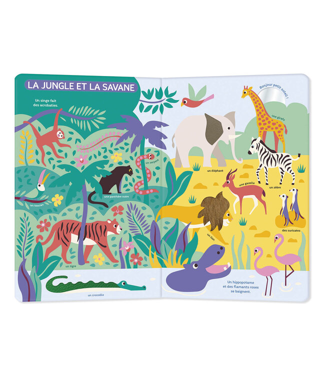 AUZOU Mon très grand livre d'éveil - Autour du monde