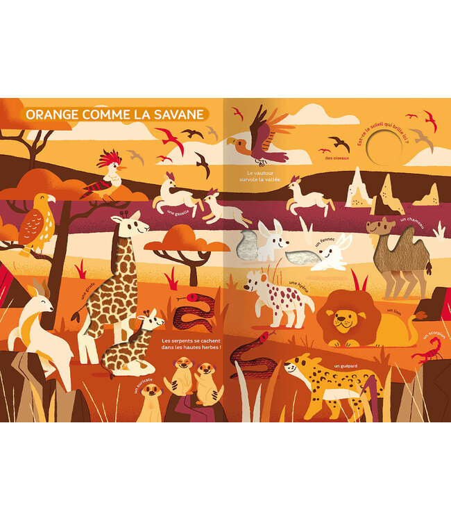 AUZOU Mon très grand livre d'éveil - monde des couleurs