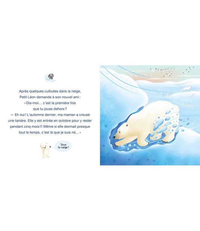 AUZOU LIVRE - PETIT LÉON ET L'OURS POLAIRE
