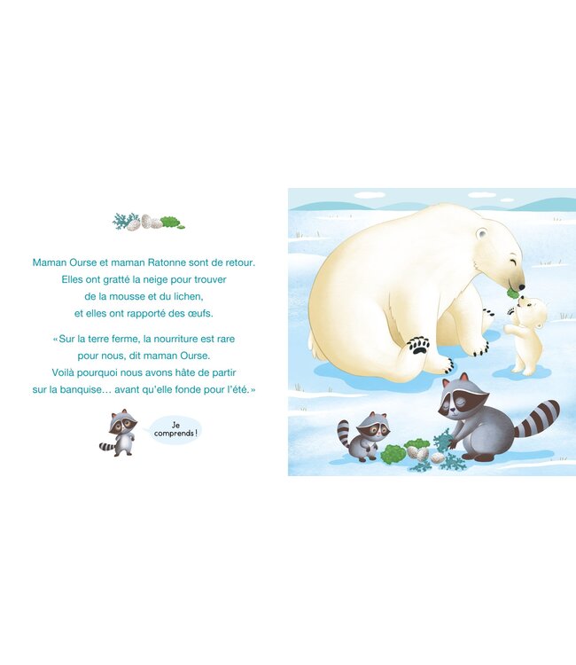 AUZOU LIVRE - PETIT LÉON ET L'OURS POLAIRE