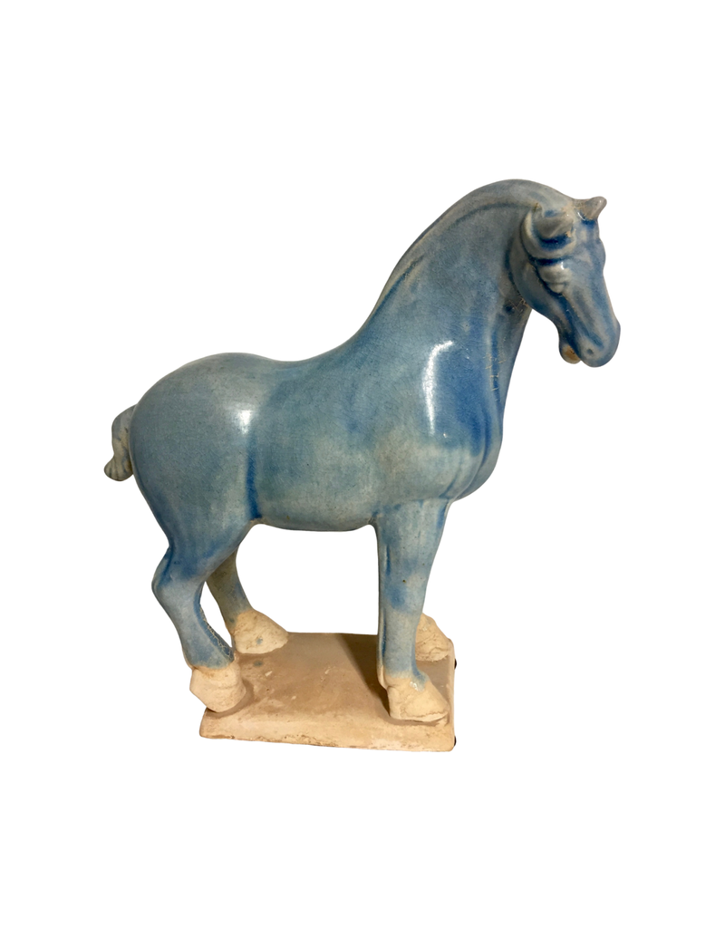 Terracotta Horse Found