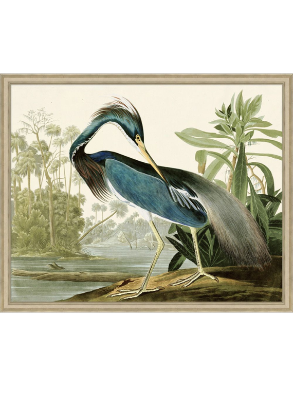 Framed Marshbird Blue Heron