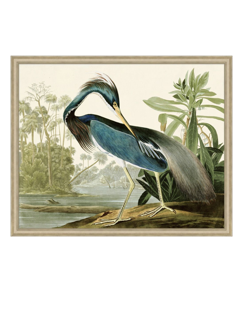 Framed Marshbird Blue Heron