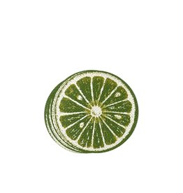 Vintage Lime Slice Coasters Set