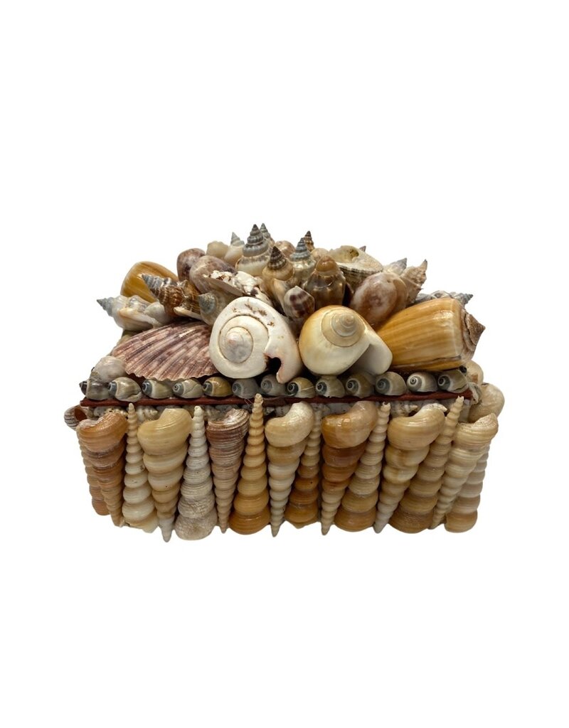 Brown Seashell Encrusted Decorative Box