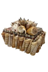 Brown Seashell Encrusted Decorative Box