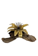 Vintage Brass Flower on Brown Driftwood