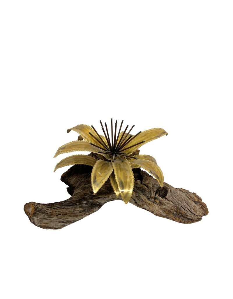 Vintage Brass Flower on Brown Driftwood