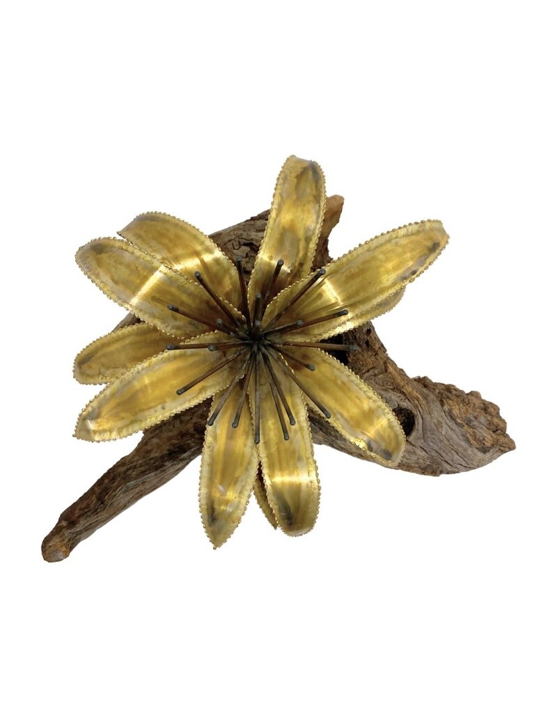 Vintage Brass Flower on Brown Driftwood