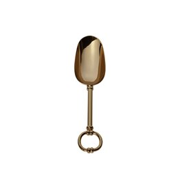 Gold Ice Scoop with Loop Handle