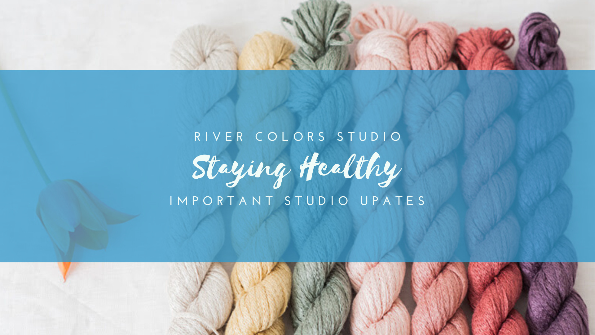Staying healthy at River Colors Studio