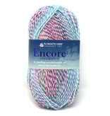 Plymouth Yarn Co. Plymouth Yarn Encore Colorspun Worsted