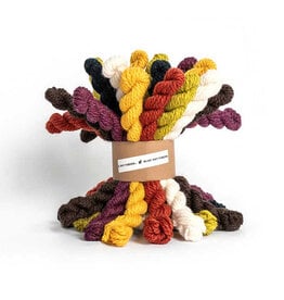 Blue Sky Fibers Woolstok Bundle Kit