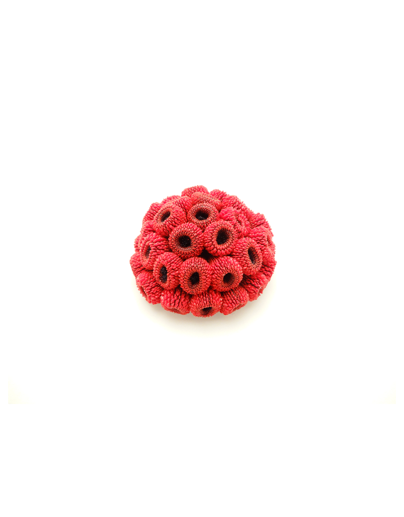 Tzuri Gueta OURSIN silicon BR